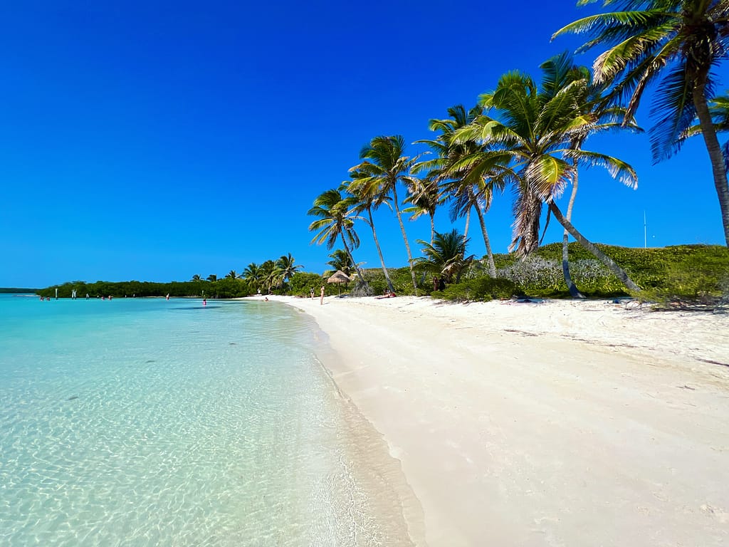 Crystal-clear water on a beautiful, lush, tree-lined beach in Cancun, Mexico. People are in the distance enjoying the sunny day.