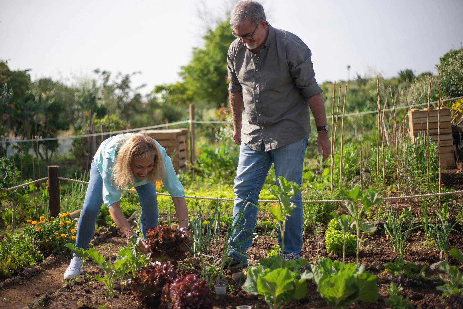 Couple Gardening Older couple gardening together